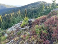 IMG_3175.jpeg