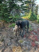 IMG_3180.jpeg