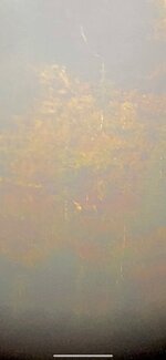 IMG_2667.jpeg