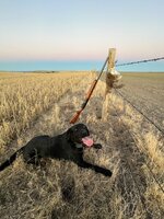 IMG_1349.jpeg