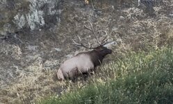 IMG_4518.jpeg