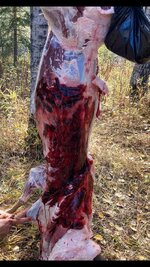 IMG_6757.jpeg