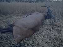 IMG_4936.jpeg