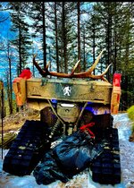 IMG_2386.jpeg