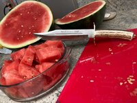 IMG_0206.jpeg