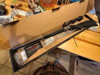 IMG_2266.jpeg