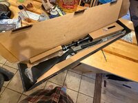 IMG_2262.jpeg
