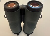 IMG_7357.jpeg