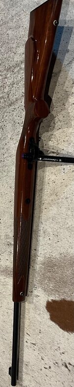 IMG_9947.jpeg
