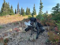 IMG_3182.jpeg