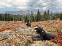 IMG_3130.jpeg