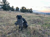 IMG_3097.jpeg