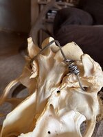 IMG_0058.jpeg