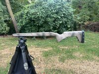 IMG_8268.jpeg
