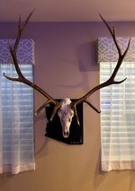 IMG_3036.jpeg
