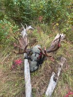 IMG_0299.jpeg