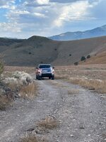 IMG_3386.jpeg
