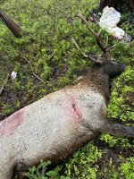 IMG_7835.jpeg