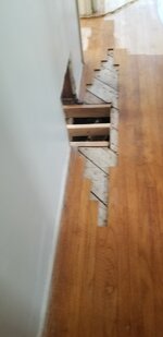 20181115_122844.jpg