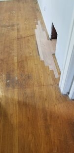 20181115_122834.jpg