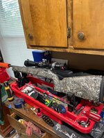 IMG_7437.jpeg