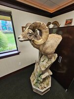 20250920_150119.jpg