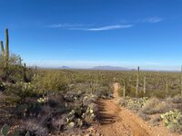 IMG_0176.jpeg