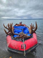 1000018817 (1).jpg