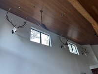 IMG_2235.jpeg