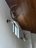 IMG_2234.jpeg