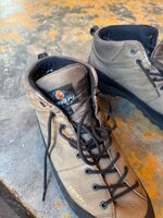 IMG_7895.jpeg