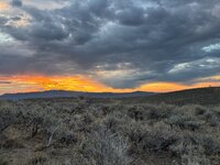 IMG_2087.jpg