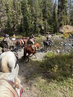 IMG_0539.jpeg