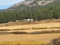 IMG_0556.jpeg