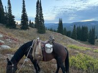IMG_0570.jpeg