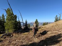IMG_0574.jpeg