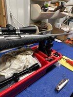 IMG_2298.jpeg
