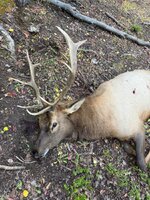 IMG_0962.jpeg