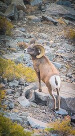 IMG_7374.jpeg