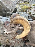 IMG_1374.jpeg