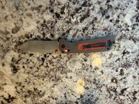 IMG_4386.jpeg