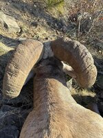 IMG_1408.jpeg