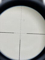 IMG_0145.jpeg