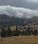 IMG_0841.jpeg