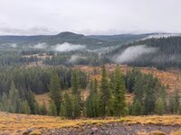 IMG_0611.jpeg