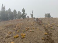 IMG_0619.jpeg