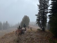 IMG_0621.jpeg