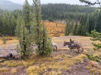 IMG_0640.jpeg