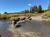 IMG_0703.jpeg
