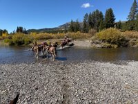IMG_0702.jpeg